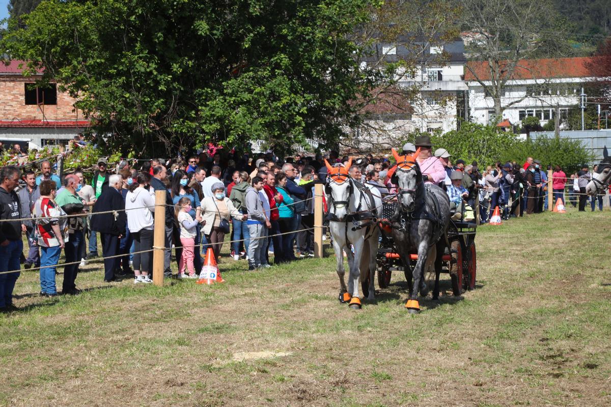 Una de las pruebas de la Feria de Caballos de San Bartolomé.