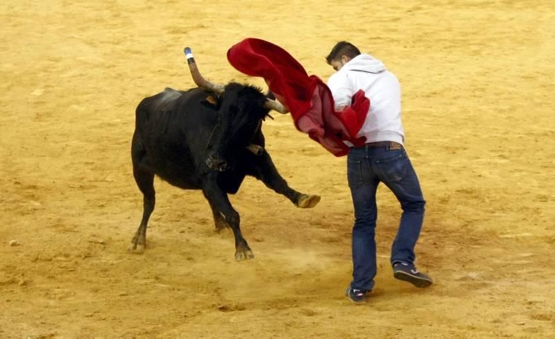 Suelta de vaquillas