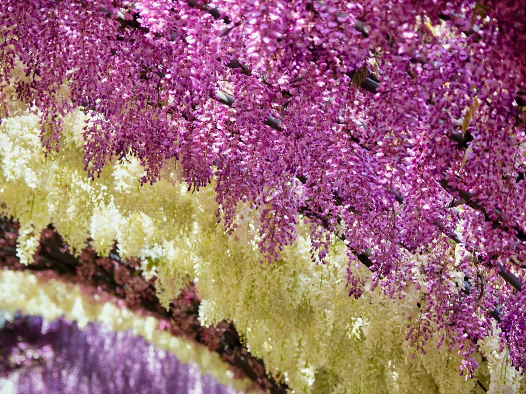 La paleta cromática es de lo más romántica.