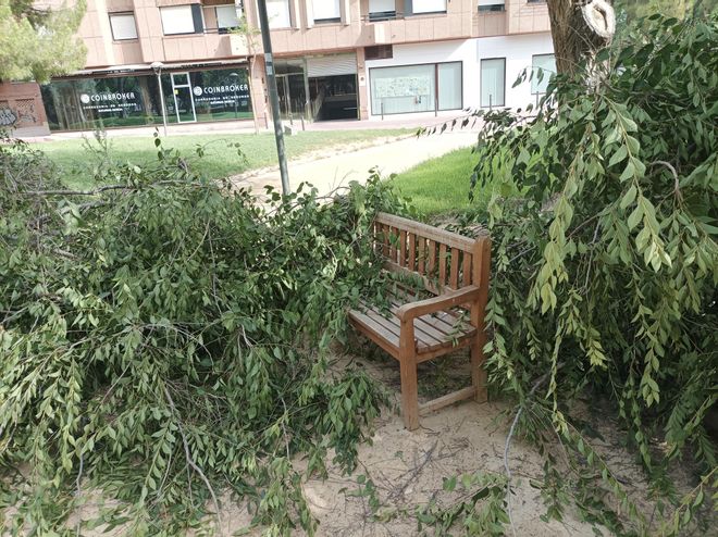 Los efectos del viento huracanado en la Región