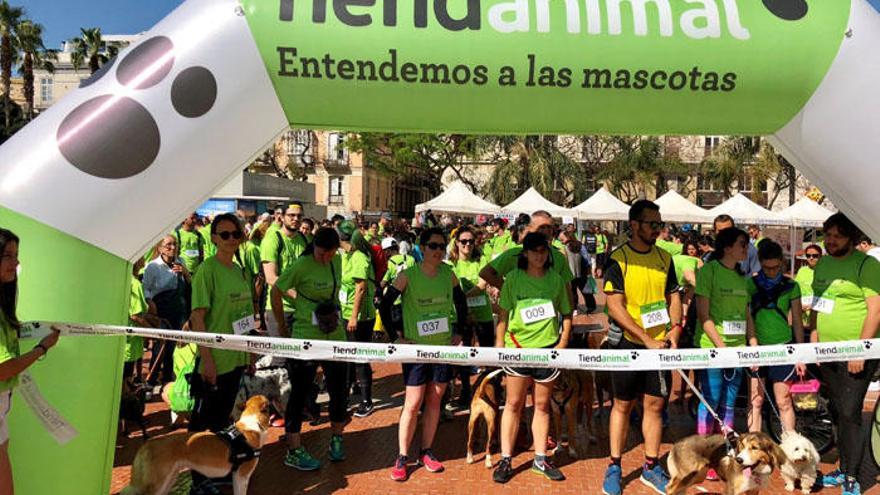 Inicio de la carrera popular, ayer domingo, que recorrió las principales calles del Centro Histórico de la ciudad de Málaga.