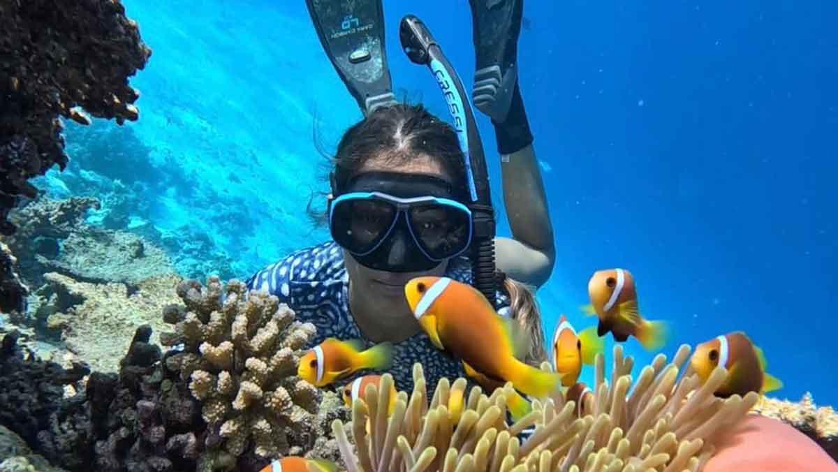 Idoia Bonilla inspecciona els corals de latoló Vaavu, a les illes Maldives. Idoia Bonilla inspecciona els corals de latoló Vaavu, a les illes Maldives.