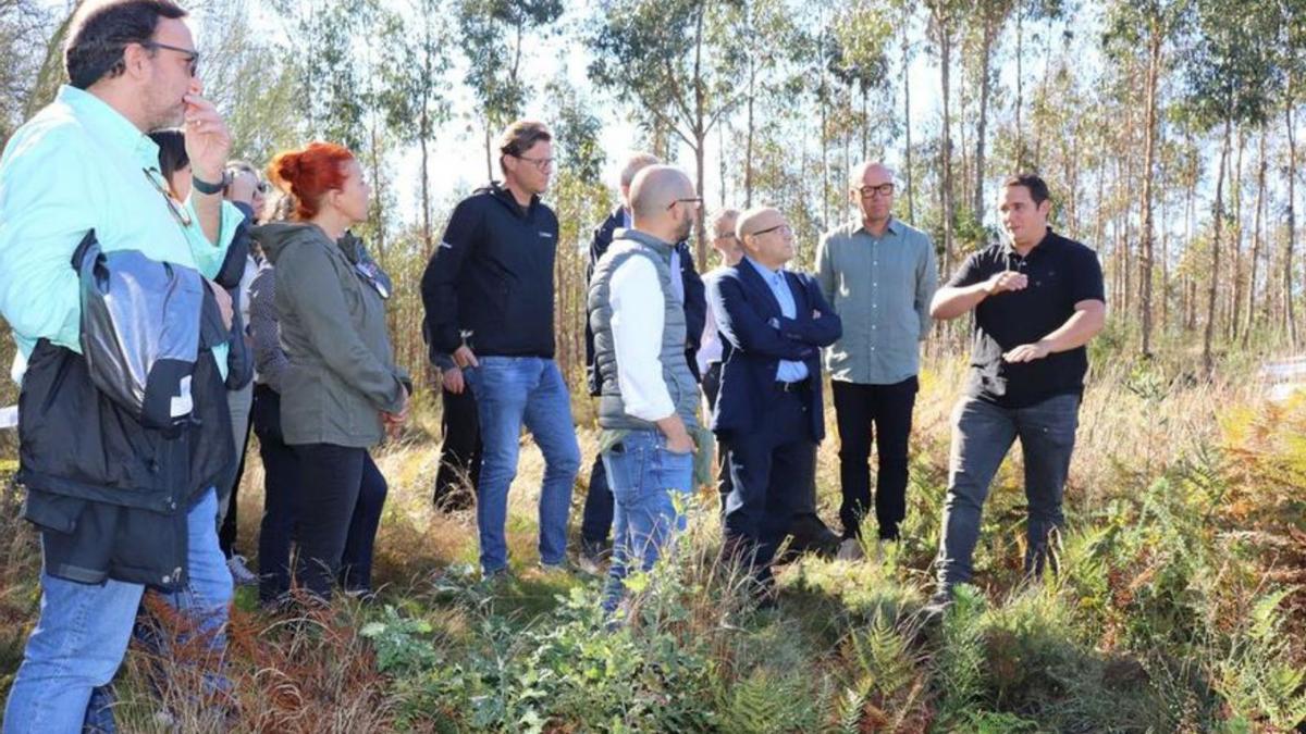 Los médicos visitaron el proyecto de reforestación de Borela.
