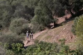 El Plan de la Sierra sigue dormido en un cajón