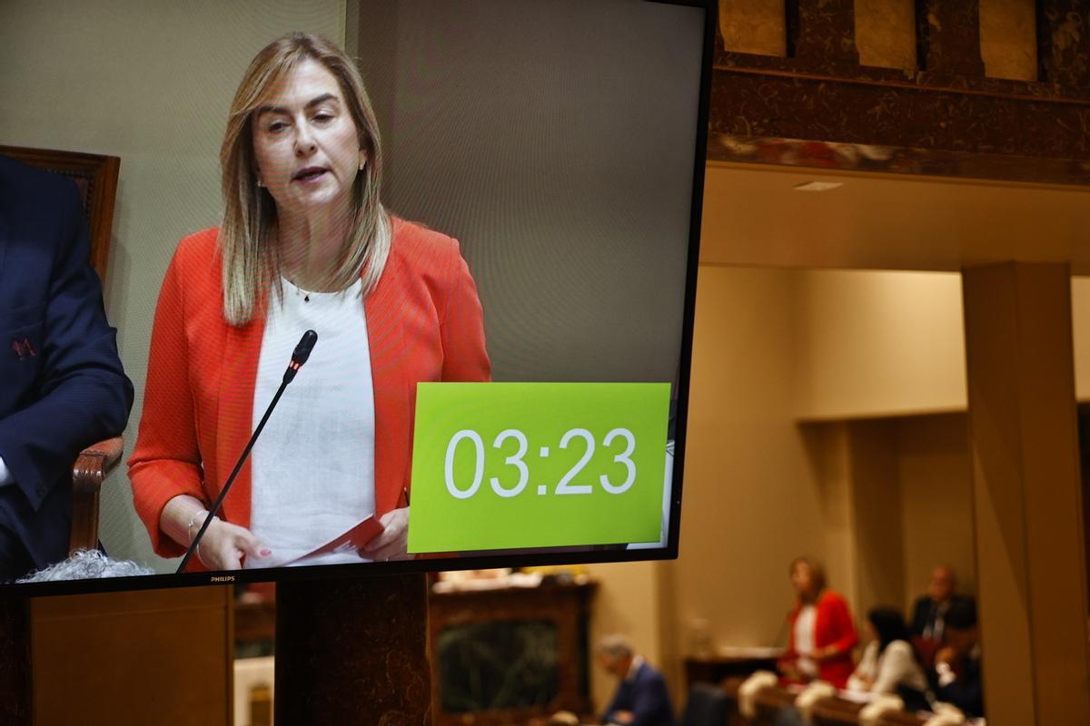 Intervención por la televisión del hemiciclo de la portavoz del Grupo Socialistas, Carmina Fernández.