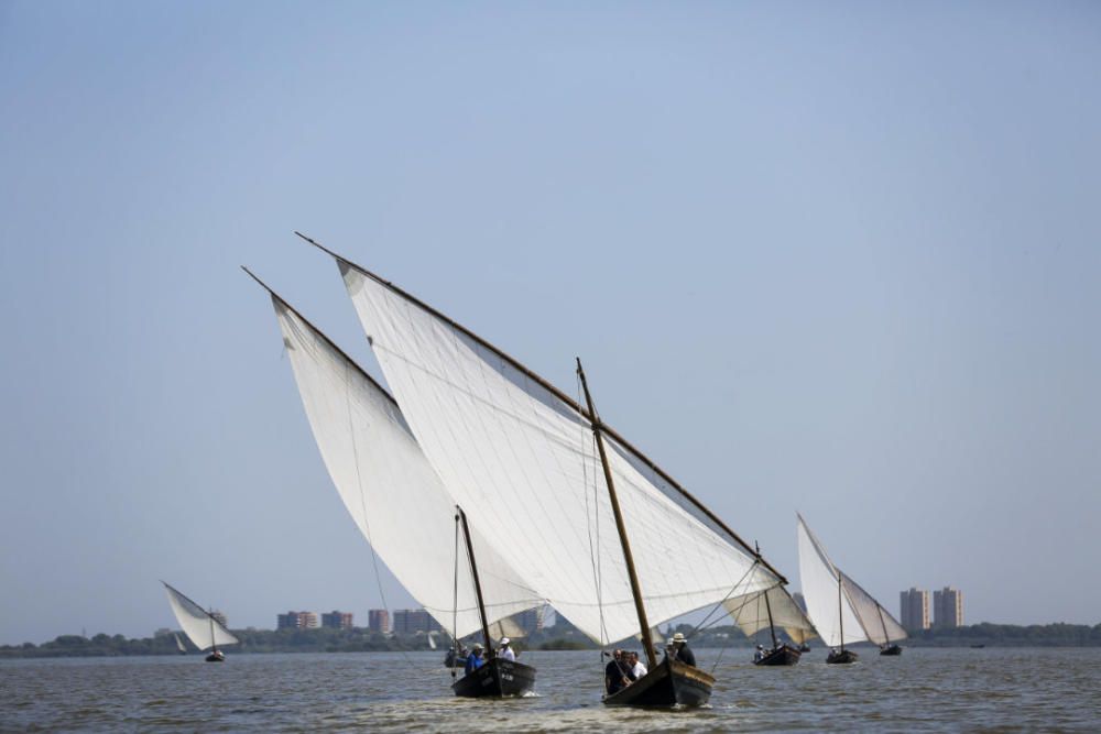 Regata-exhibición de vela latina en l'Albufera