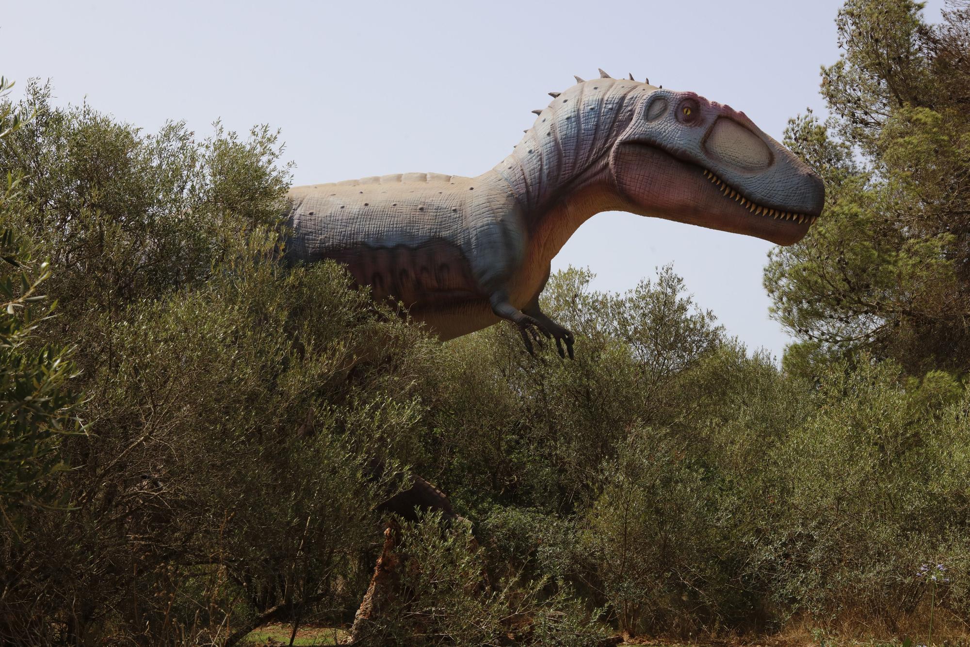 Besuch im neuen Dino-Park auf Mallorca