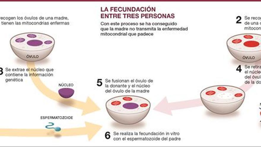 Nace el primer hijo genético de tres padres