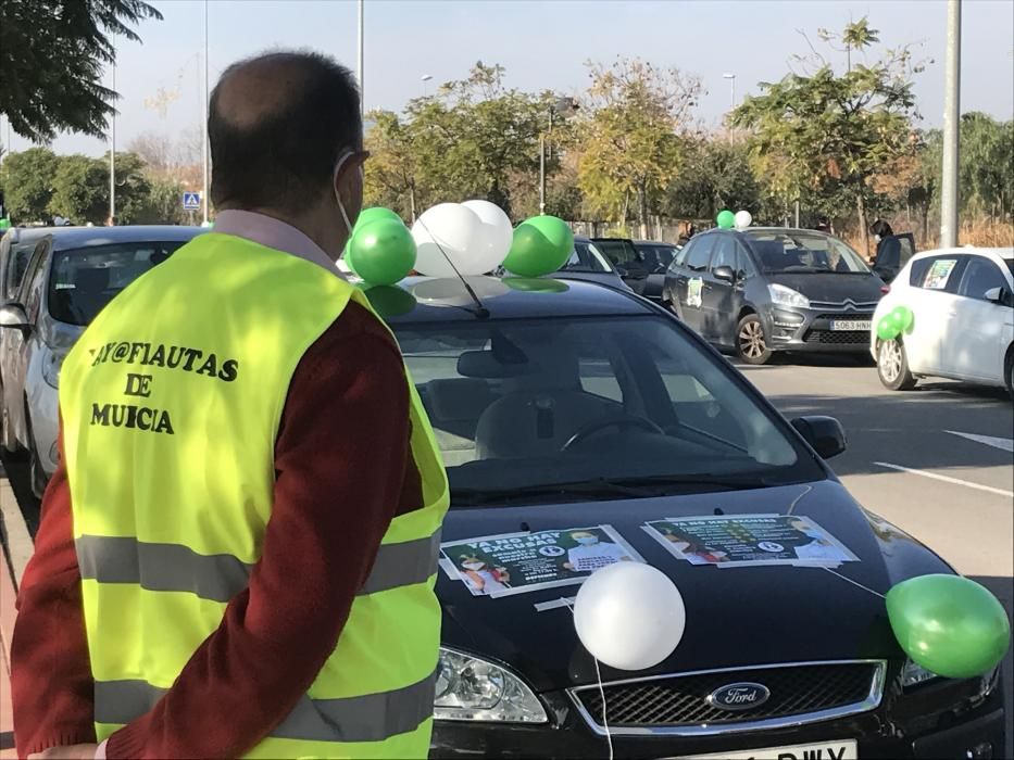 Una marcha teñida de verde y blanco para defender "el bien común"