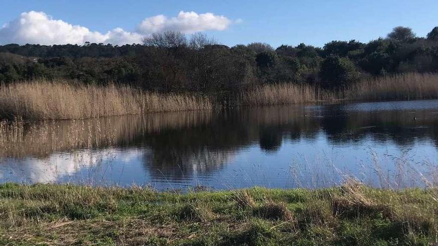 La laguna de A Bodeira, uno de los humedales más destacados de O Grove y Galicia. 