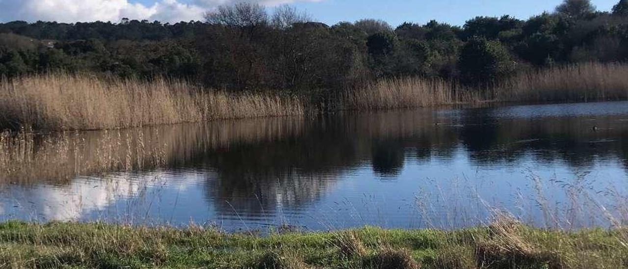 La laguna de A Bodeira, uno de los humedales más destacados de O Grove y Galicia. // Muñiz