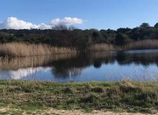 Los ornitólogos destacan el papel de A Bodeira en el Día de los Humedales