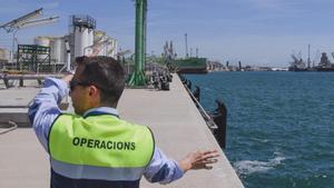 El Port de Tarragona busca professionals per cobrir 10 llocs de treball