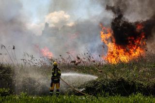 Galería de imágenes del incendio de ses Feixes en Ibiza