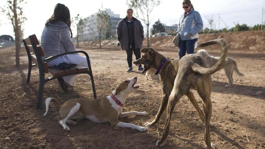 Una inversión de más de medio millón de euros permitirá adecentar parques caninos de Sagunt