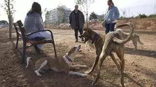 Una inversión de más de medio millón de euros permitirá adecentar parques caninos de Sagunt