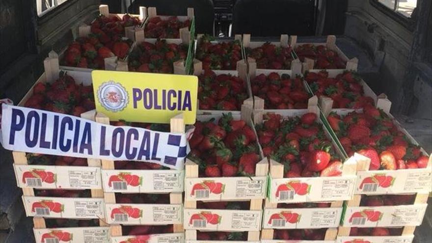 Interceptan 400 kilos de aceitunas y 105 cajas de fresones vendidas ilegalmente