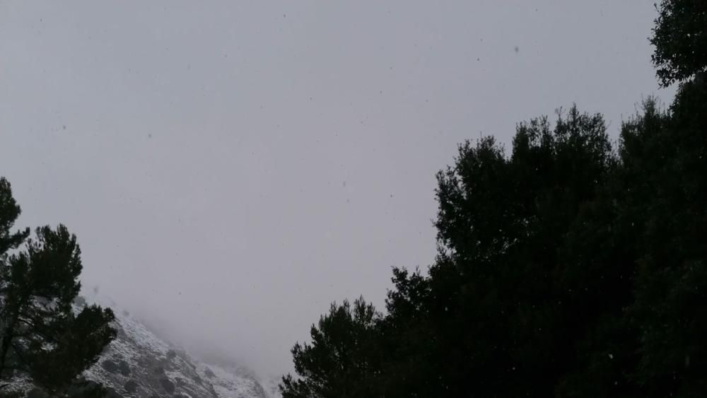 Schneefall auf Mallorca - Verkehrschaos in den Bergen