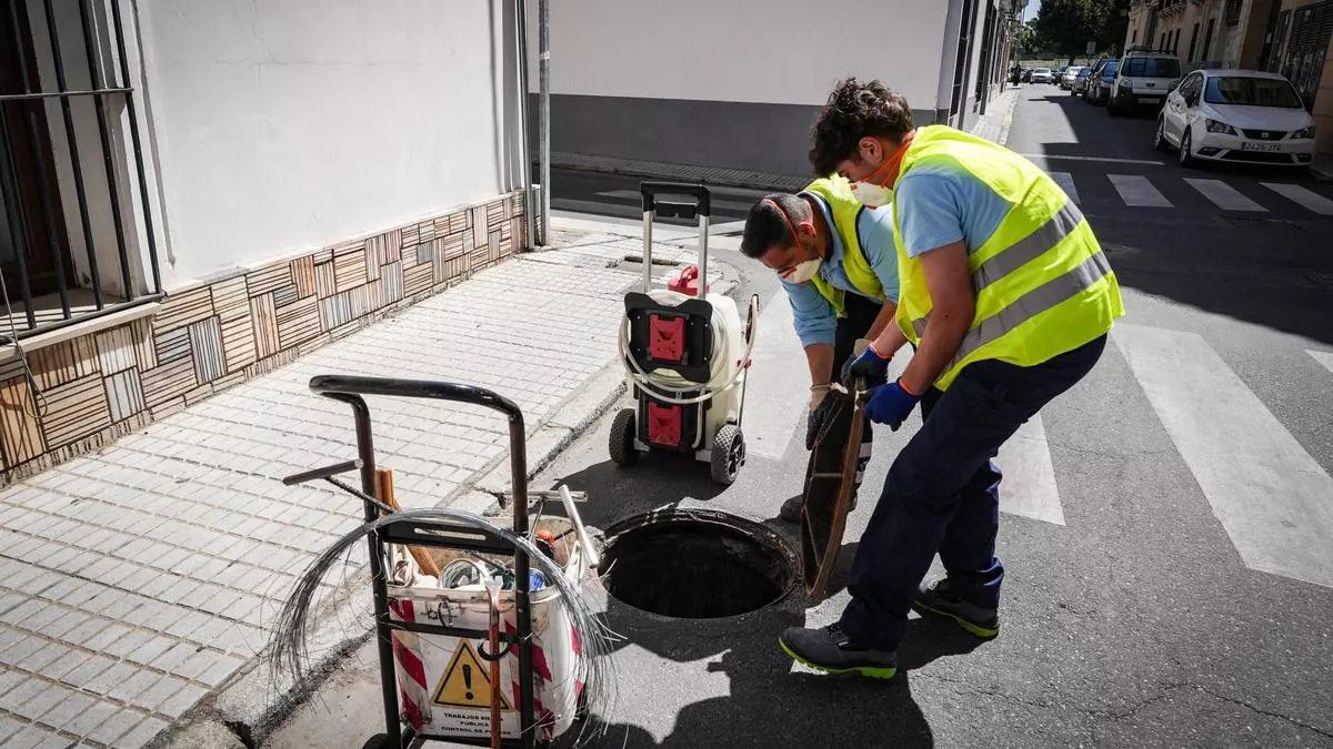 La lucha contra cucarachas y mosquitos en Badajoz se prolongará hasta que finalice el calor
