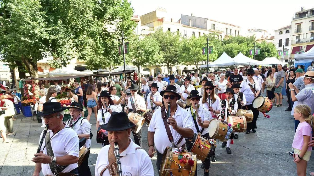 Plasencia regula terrazas, barras y música exterior en el Martes Mayor.