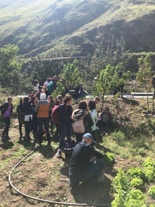 Al menos 31 personas heridas en un choque entre trenes en Perú