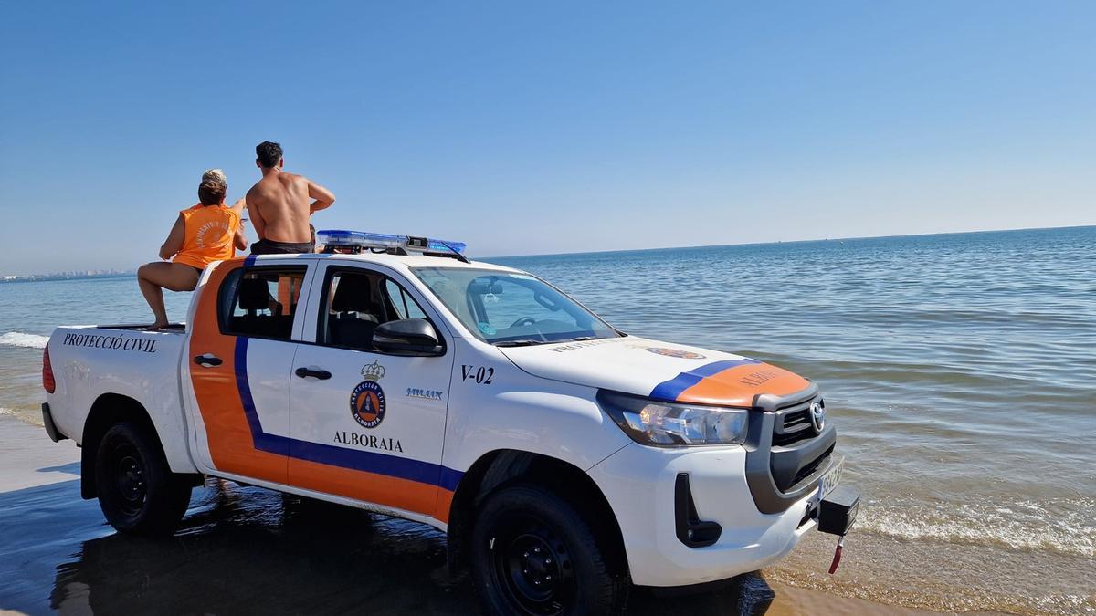 Cierran la playa de la Patacona por el avistamiento de una tintorera