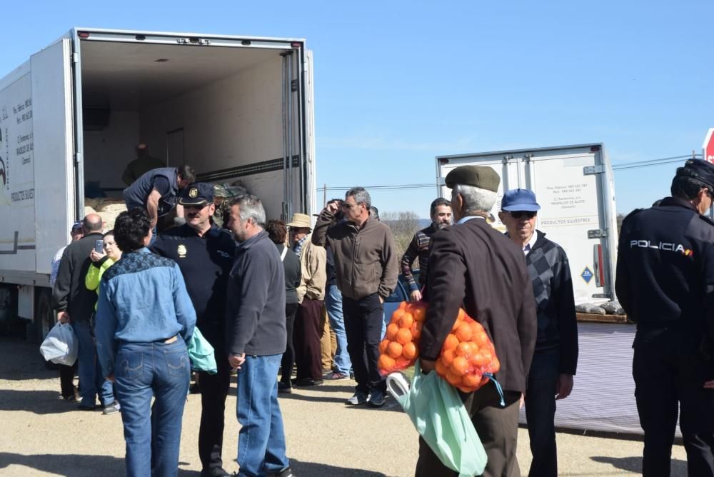 Feria del Burro y romería en San Vitero de Aliste