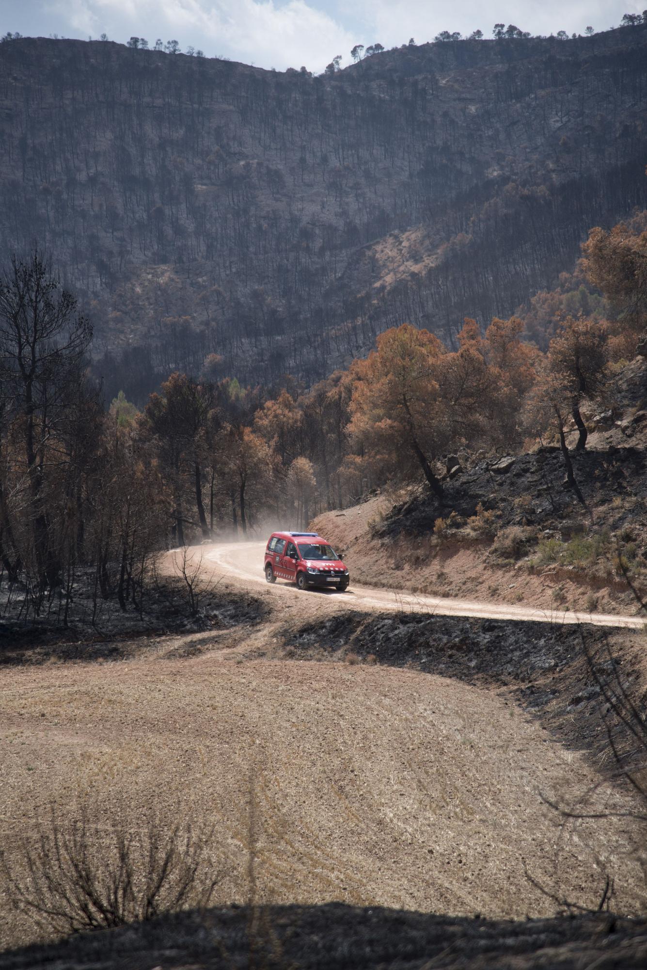 L'Anoia i la Conca d'Òdena es refan del foc