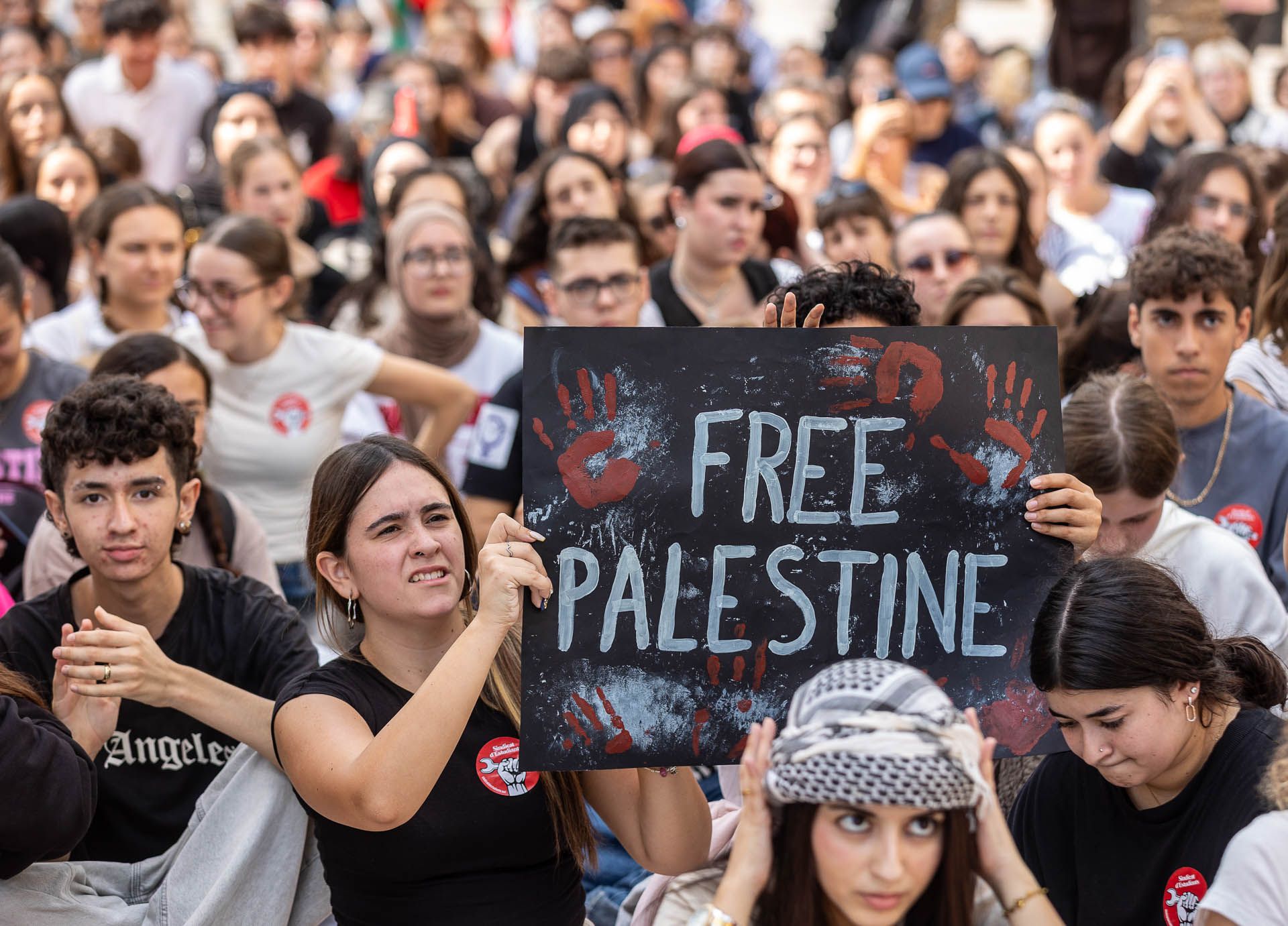 Estudiantes en defensa de Palestina por las calles de Alicante