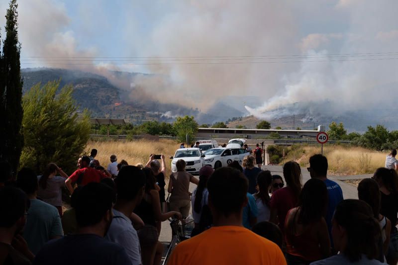 Declarado un incendio en una zona de barranco de Beneixama