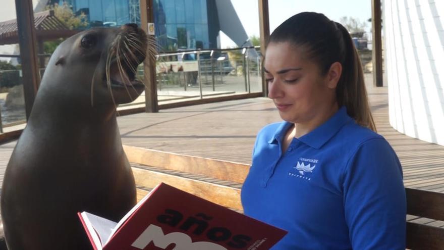 Literatura entre tiburones: así celebra el Oceanogràfic el Día del Libro