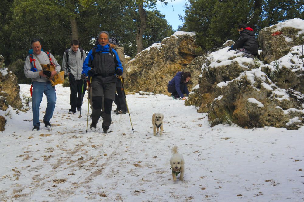 La nieve llega al interior de la provincia