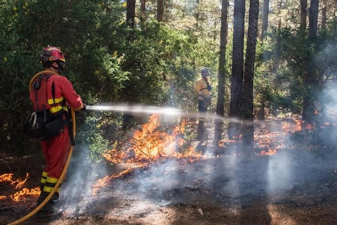 La UME realiza prácticas de prevención de incendios en Gran Canaria