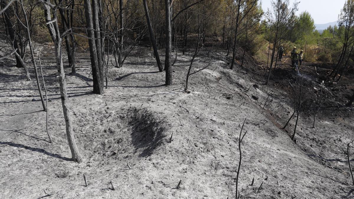 Les imatges de l'incendi de Ventalló i Vilopriu