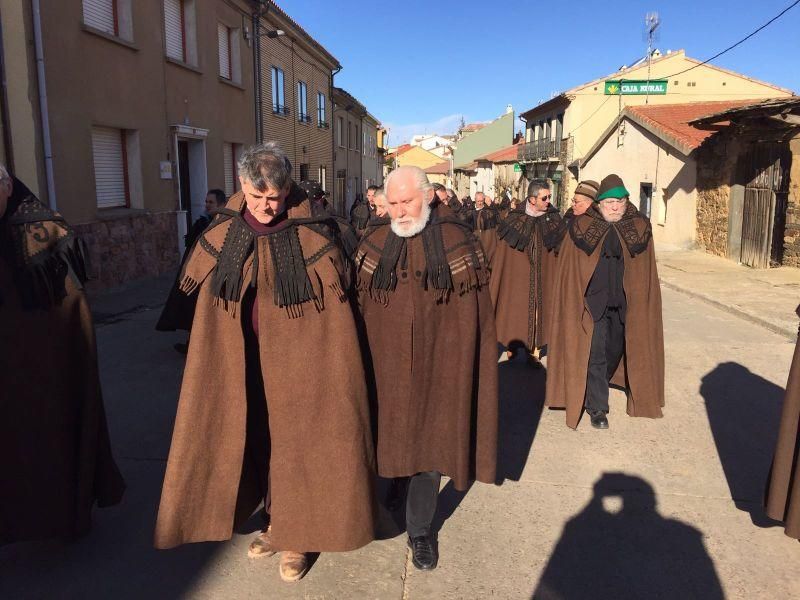 Exaltación de la capa parda en Carbajales de Alba