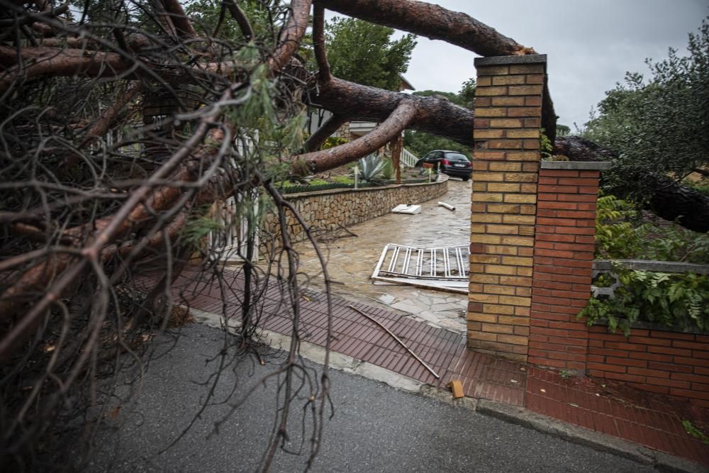 Destrosses a Riells i Viabrea per un tornado