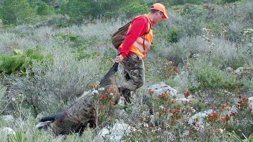 Murcia se sumará a la licencia única de caza en toda España