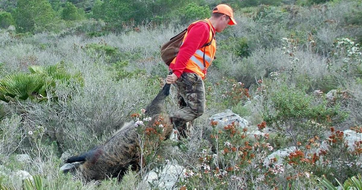 Murcia se sumará a la licencia única de caza en toda España