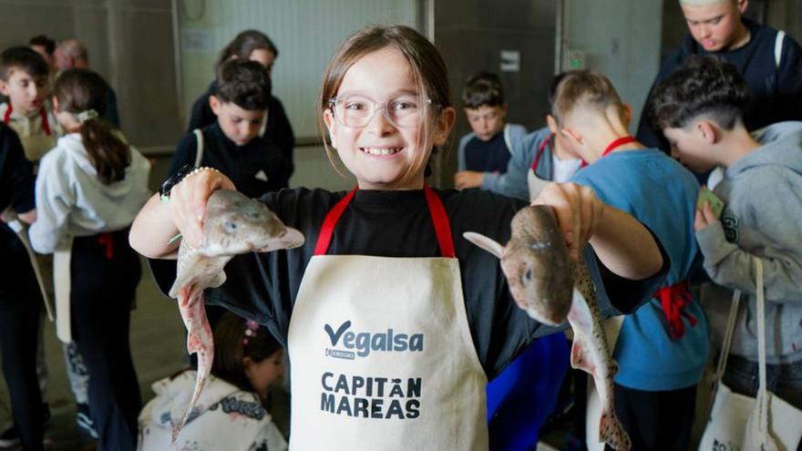 Vegalsa capitanea la promoción del pescado en Galicia
