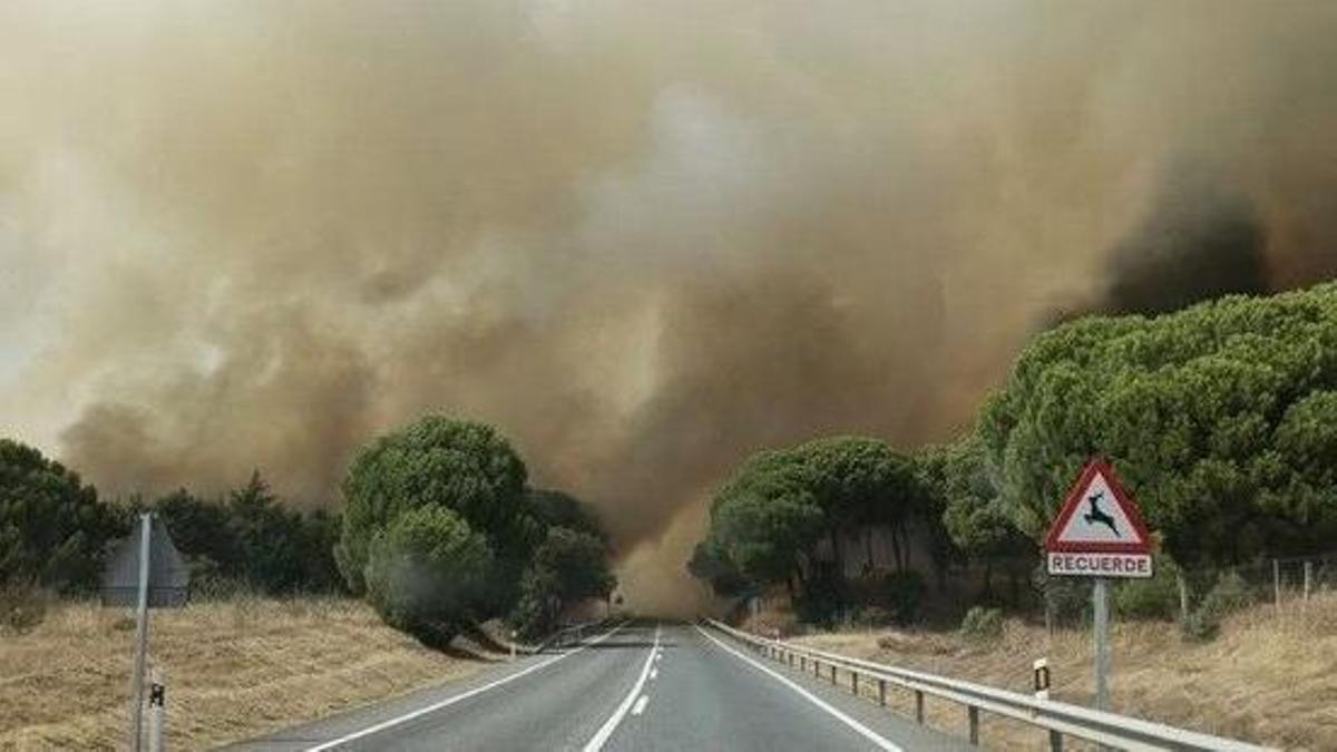 efectivos de Castilla-La Mancha y Madrid trabajan para frenarlo