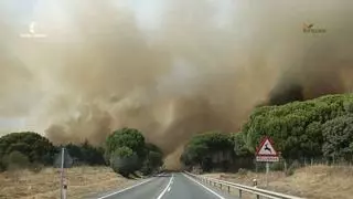 El incendio de Almorox (Toledo) salta a Madrid y obliga a movilizar a la UME: evacuadas varias urbanizaciones y confinado Villa del Prado