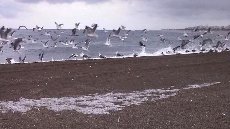 Granizo en la playa de Torrox