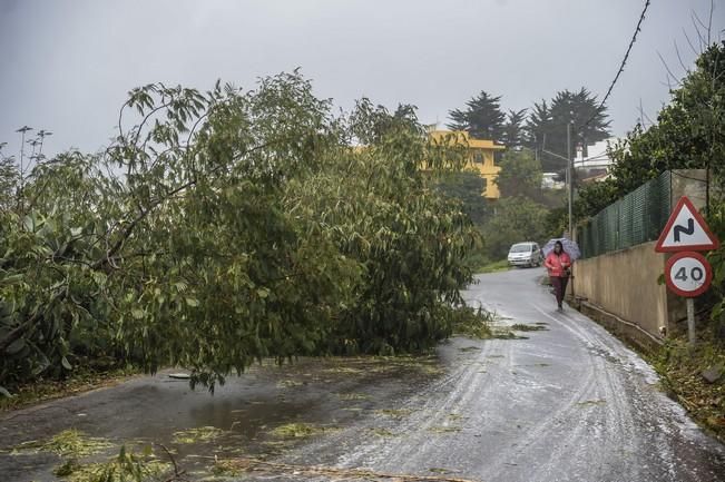 TEMPORAL ZONA NORTE