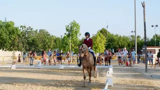 Arranca la Feria de Ganado de Dolores con las corraletas llenas con 600 cabezas