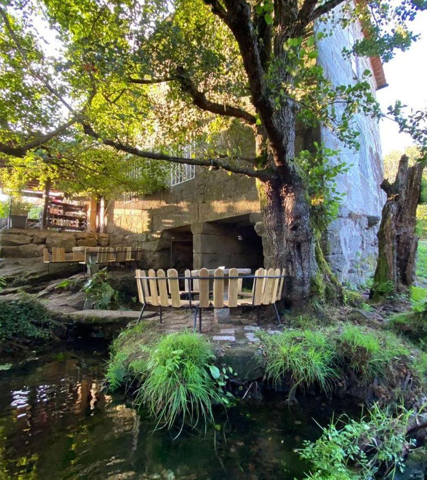 Galicia tiene un furancho secreto para los amantes del tapeo: zamburiñas y la mejor terraza de la provincia de Pontevedra