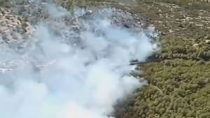 Un incendi forestal obliga a tallar dues carreteres i una via de tren a Tarragona