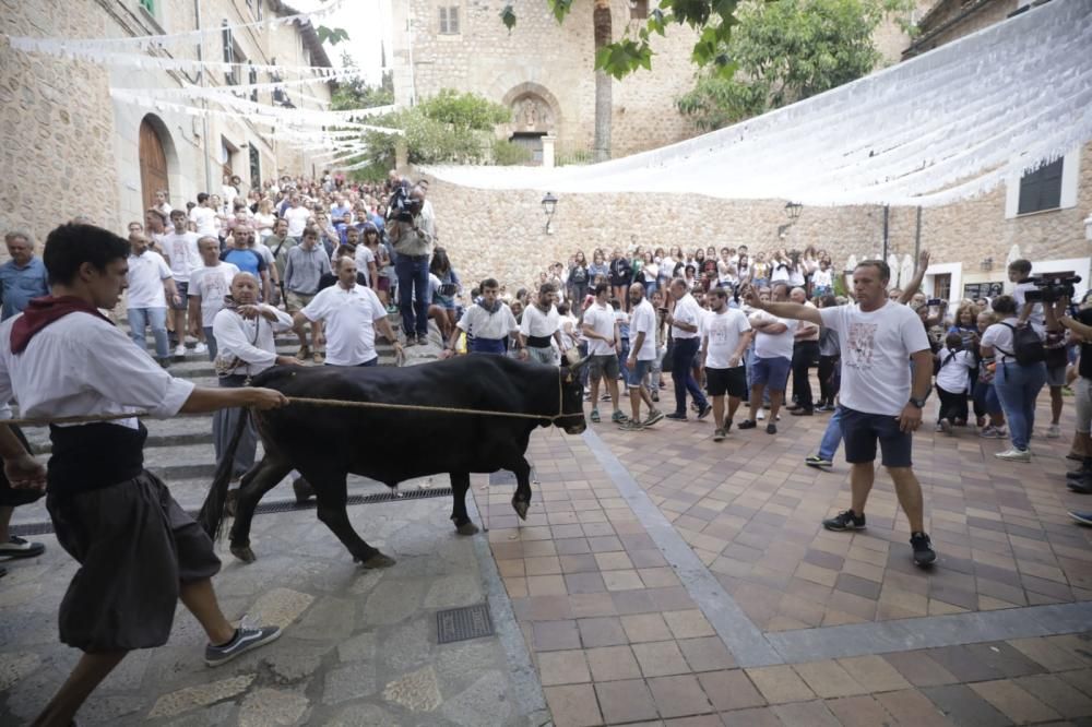 Correbou de Fornalutx 2019