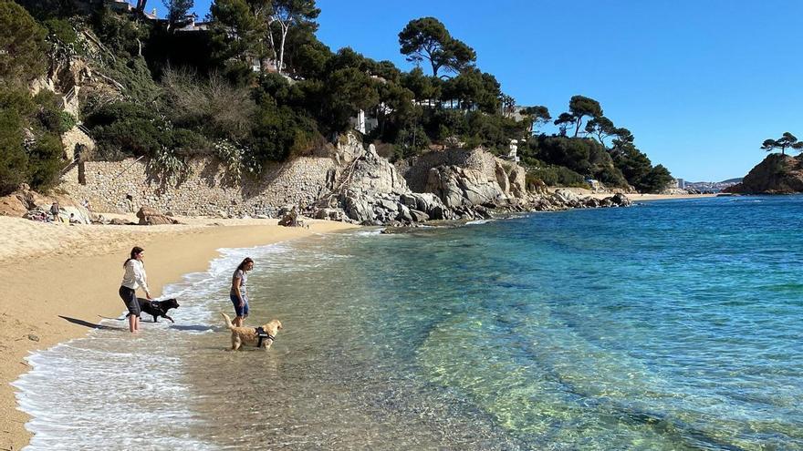 Catorze platges de la Costa Brava tindran espai per a gossos aquest estiu