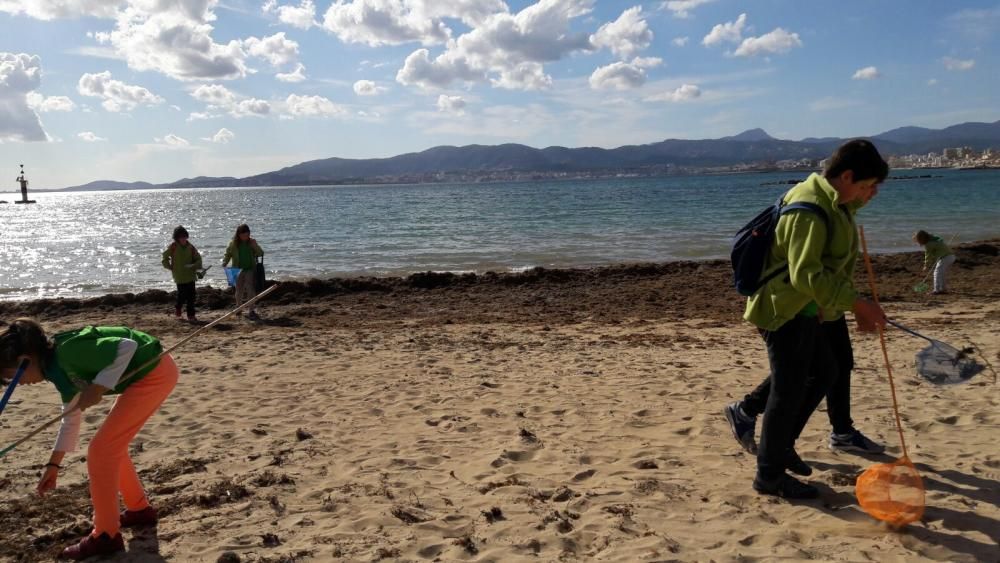 Actividad contra la contaminación en Palma de los Scouts Es Fortí