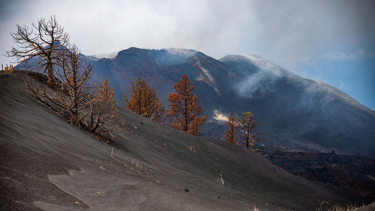 Panorámica del volcán Tajogaite, que entró en erupción en las primeras horas de la tarde del 19 de septiembre de 2021.